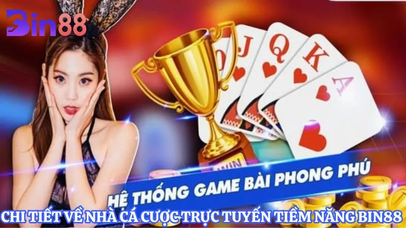 Chi tiết về nhà cá cược trực tuyến tiềm năng BIN88