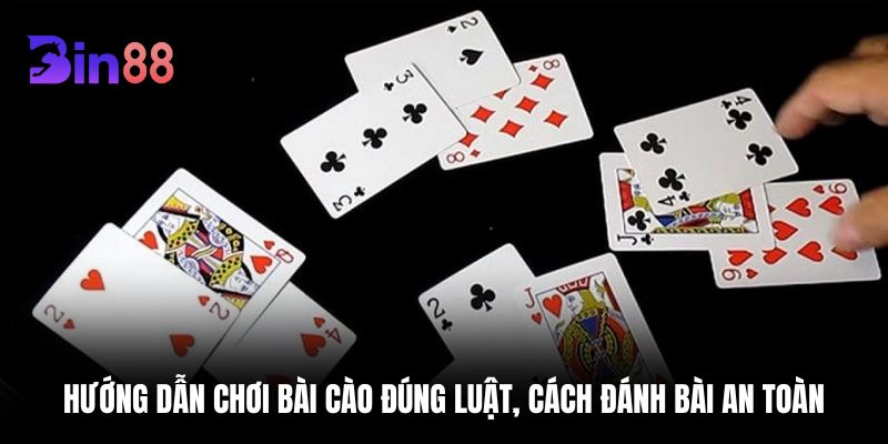 bài cào